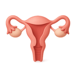 Obstetrics & Gynecology icon