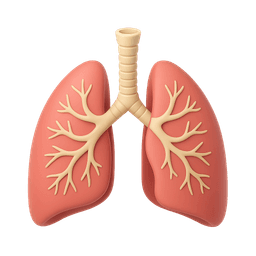 Pulmonology icon